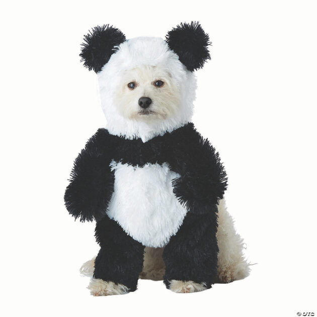 Costumes & Props